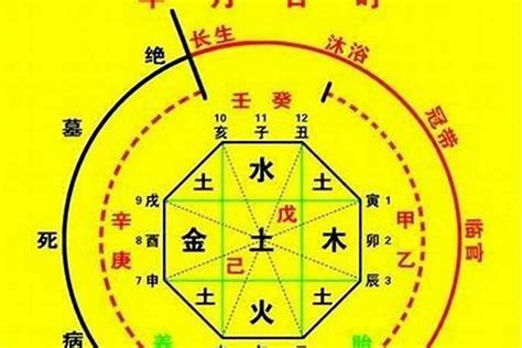 生辰算命 天運|生辰八字算命、五行喜用神查詢（免費測算）